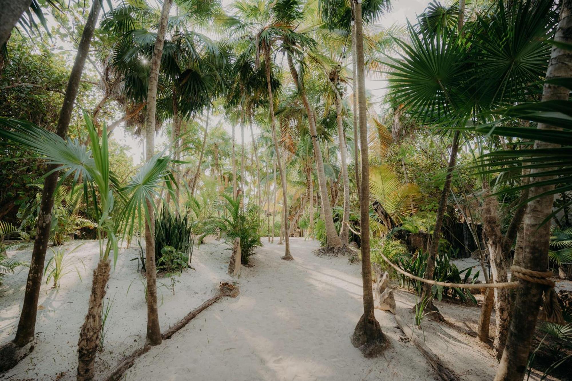 Luxury Penthouse With Private Pool In Aldea Zama Lejlighed Tulum Eksteriør billede