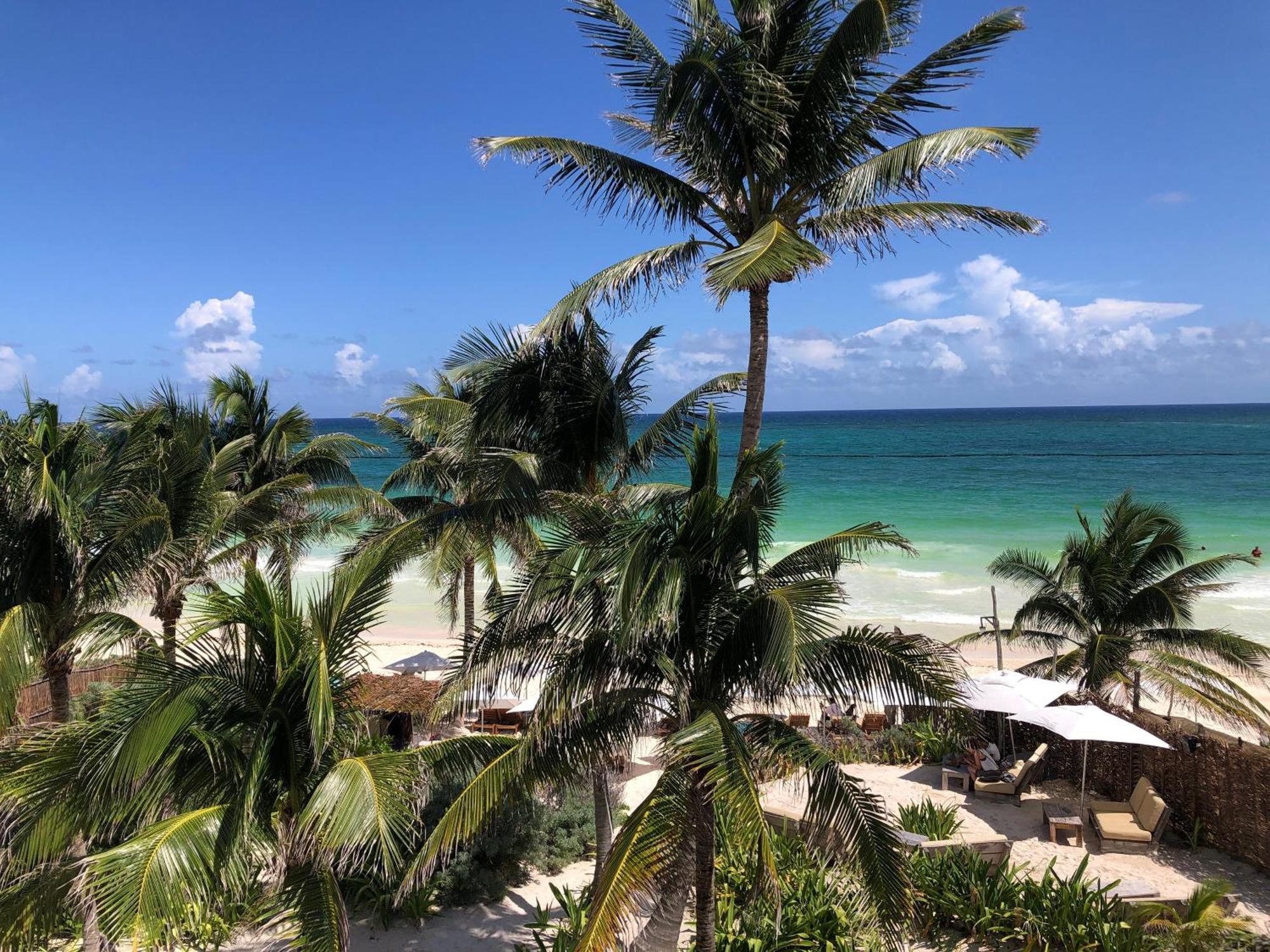 Luxury Penthouse With Private Pool In Aldea Zama Lejlighed Tulum Eksteriør billede
