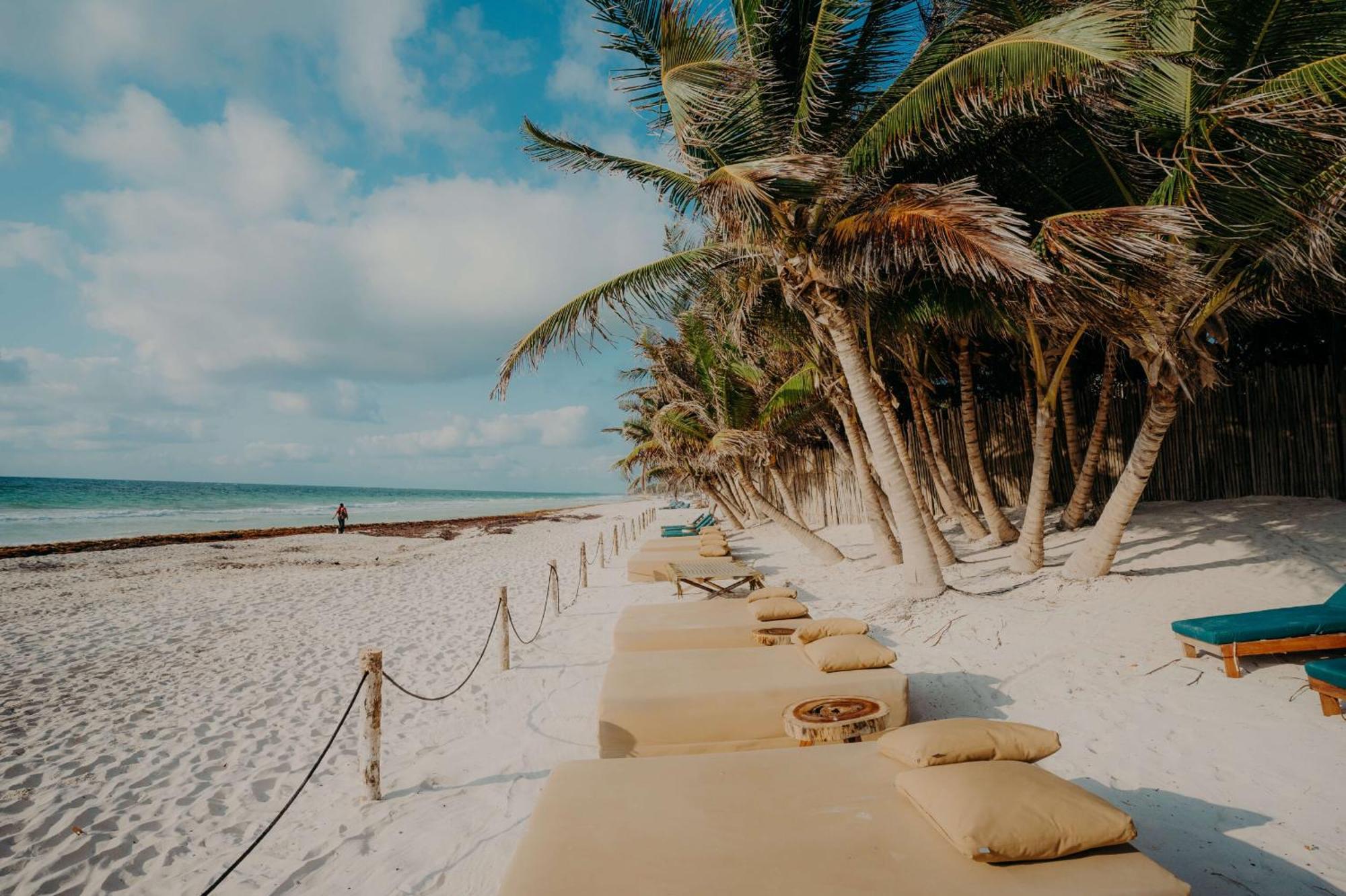 Luxury Penthouse With Private Pool In Aldea Zama Lejlighed Tulum Eksteriør billede